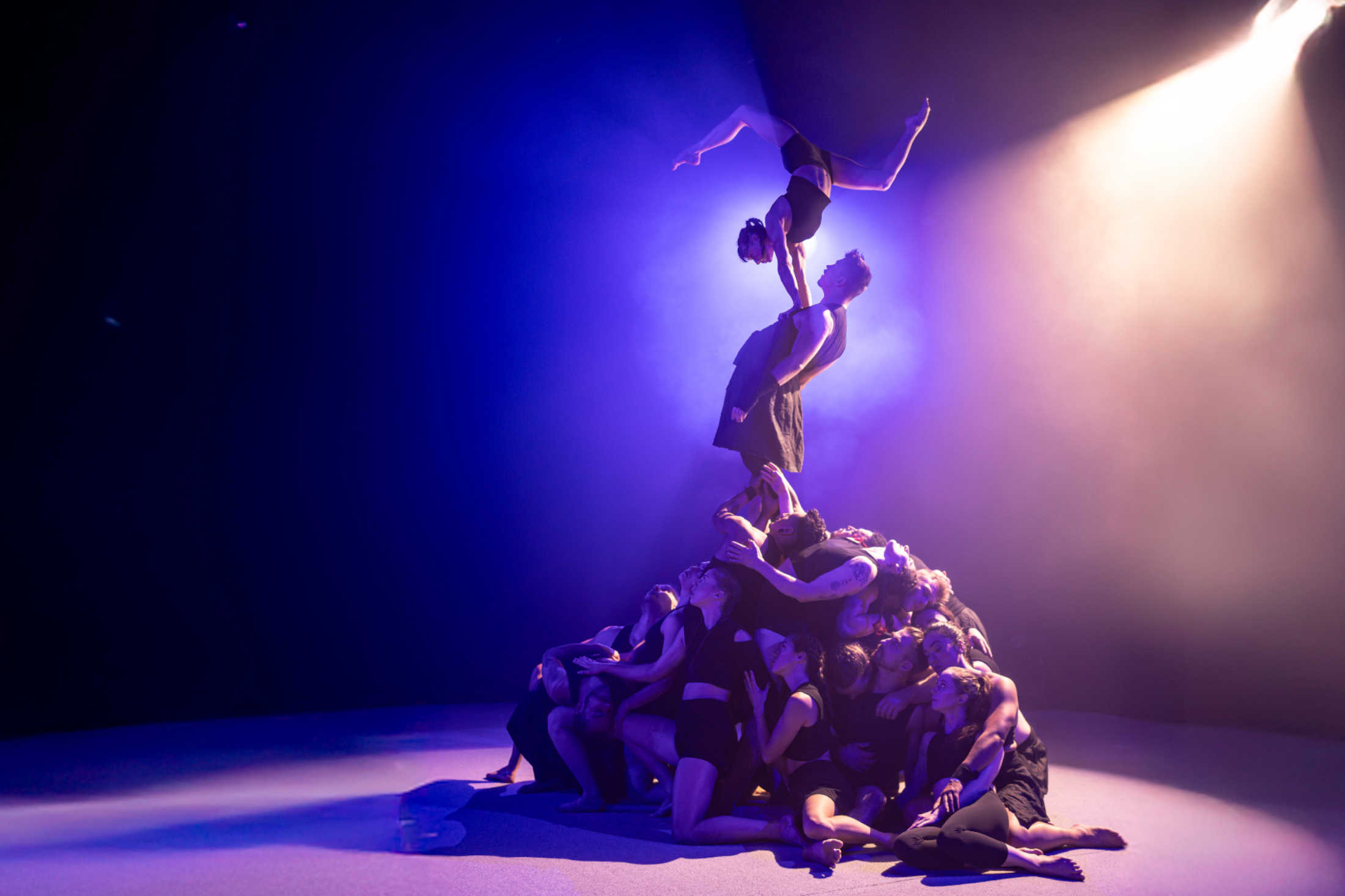 die Akrobaten von Copenhagen Collective treten mit The Genesis beim Düsseldorf Festival 2025 auf