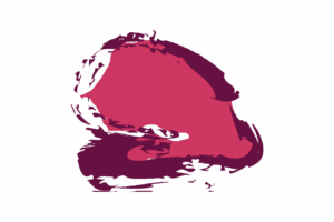 SenegalWEB2